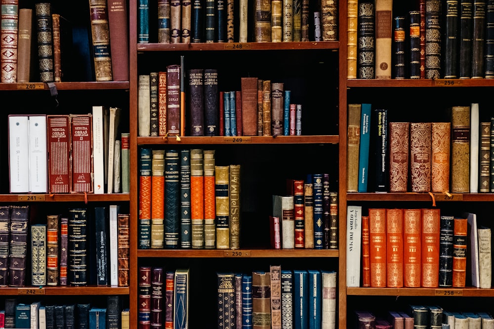 University library study hall